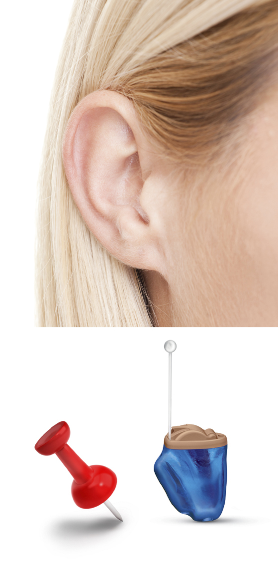 human ear