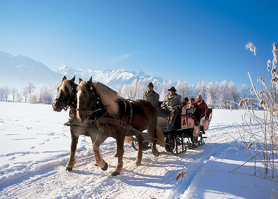 FET_Østrig_Liebhaverboligen_rejser_Skiferie_Kælk, skøjter eller kane. Mulighederne for anderledes oplevelser i Zell am See er mange