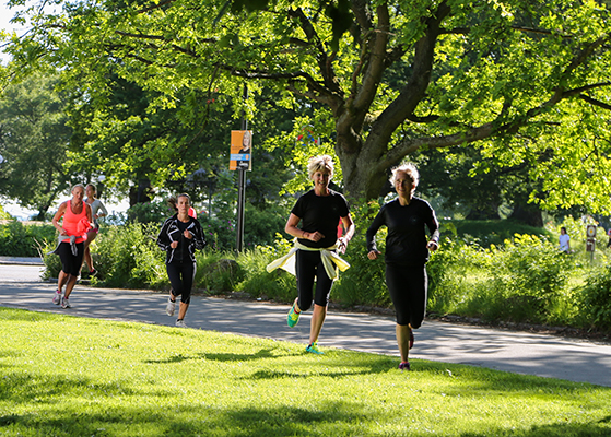 FET_Liebhaverboligen_Sundhedsværkstedet_Løbeprogram_Training Small-1