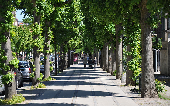 FET_Liebhaverboligen_frederiksberg_Frb Alle