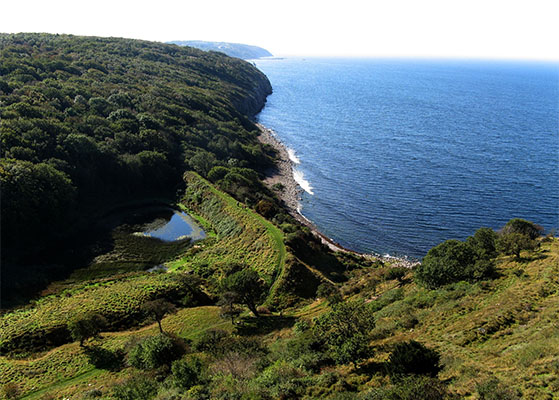 FET_Liebhaverboligen_Sommerferie_bornholm