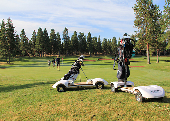 FET_Mandesager_Golfboard