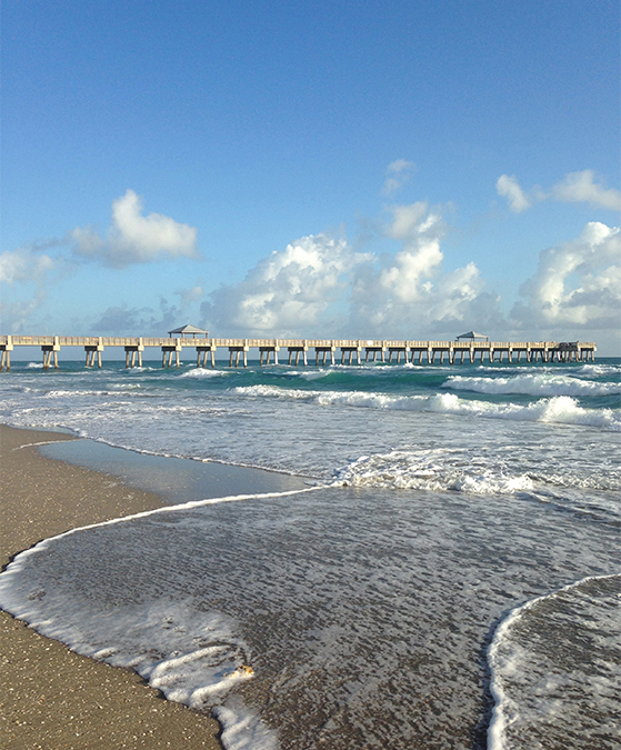 FET_Udenlandsdanskeren_Juno Beach_Udenlandsdanskeren_december 2015