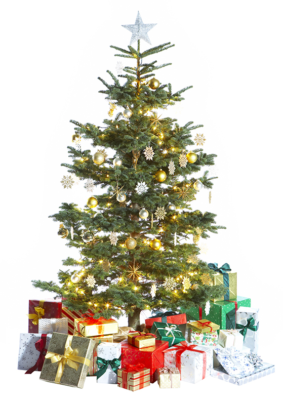 Christmas tree on white background