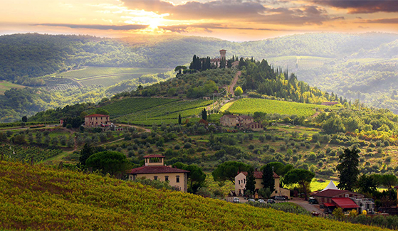 FET_RegitsesRejseunivers_rejseblog_Vinmarker-ved-Chianti-Umbrien-Italien-Hideaways