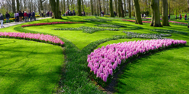 SLIDE_Rejsereportage_Amsterdam_keukenhof-parken