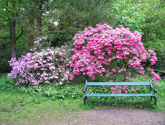 FET_Charlottenlund_Forstbotanisk Have