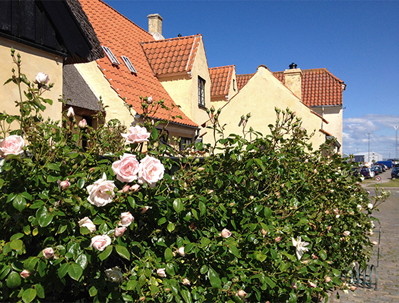 FET_Dragør_gamle by (2)