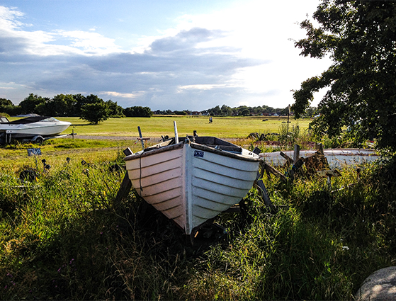 FET_Dragør_havnen strandeng (2)