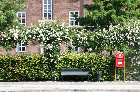 FET_Frederiksberg_Indbydende bænk på Finsensvej