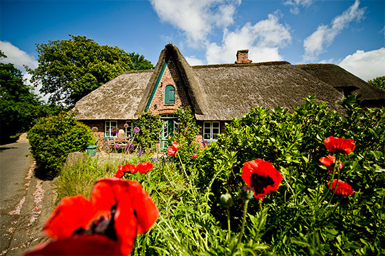 FET_Rejsereportage_Sommerliv_Sylt_Copyright-Sylt-Marketing-l-Michael-Reidinger_Keitum_Friesenhaus_DSC9162