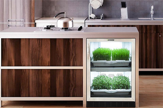 FET_Mandesager_Urban-Cultivator