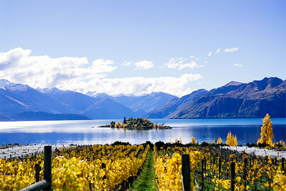 FET_NewZealandsk_Vin_Rippon_WANAKA