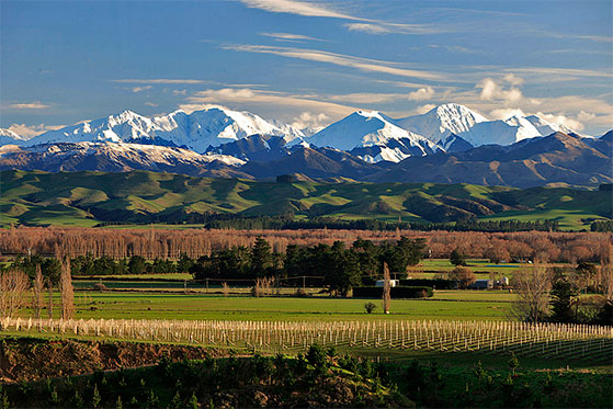 FET_NewZealandsk_vin_Mt-Beautiful-Wines_NORTH-CANTERBURY