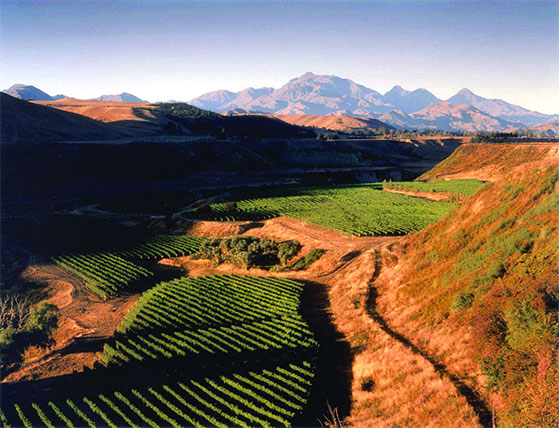 FET_NewZealandsk_vin_Nautilus-Estate_MARLBOROUGH