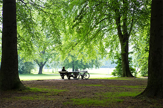 FET_Østerbro_Parker_Grønne_Anlæg_Fælledpark3