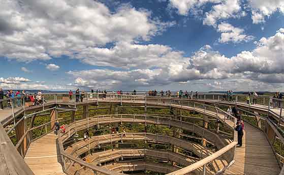 FET_Rejsereportage_NEZR_Treetop_walk_Viewing_tower_c_FotoArt_Mirko_Boy_nezr