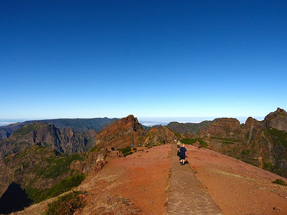 FET_Madeira_P1150910