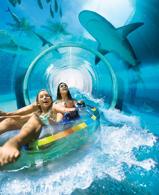 FET_Dubai_Aquaventure-Waterpark_Shark-Attack-2
