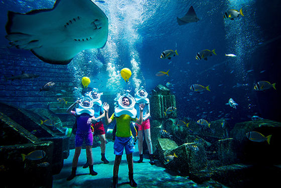FET_Dubai_marine_and_waterpark_marine_animal_adventures_24_09_2014_9476hr