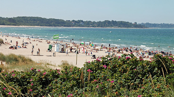 FET_NordkystensStrande_Hornbæk-Strand