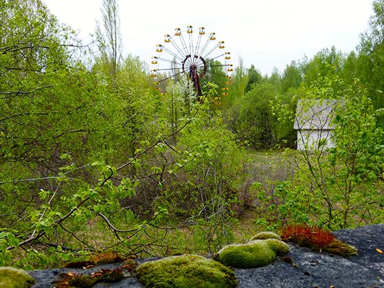 FET_Tjernobyl_Naturen-har-taget-over.