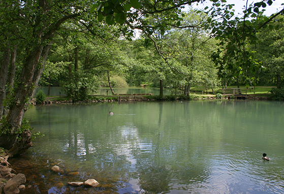 FET_Poet_Mill_Lake-Old_watermil_in_Denmark_2009_06-06b_S.Juhl