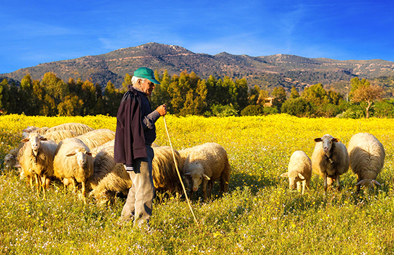 FET_Sardinien_rejsereportage_IMG_1217