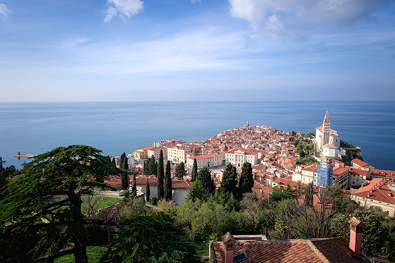 FET_Slovenien_Udsigt-over-Piran