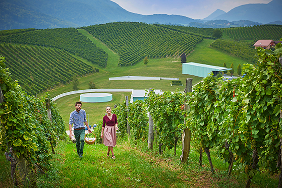 FET_Slovenien_vinsmagninger-og-overnatte