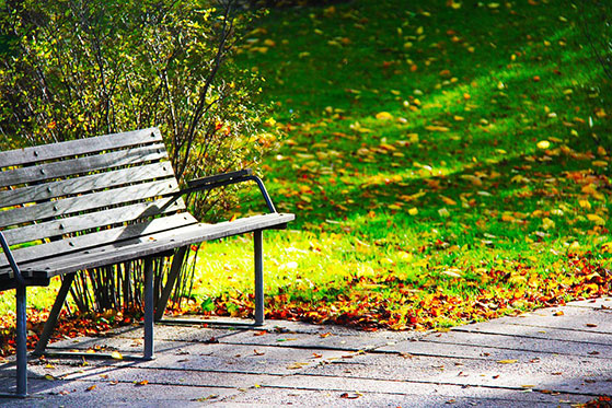 FET_Østerbro_Byvandring_Bænk-Fælledpark