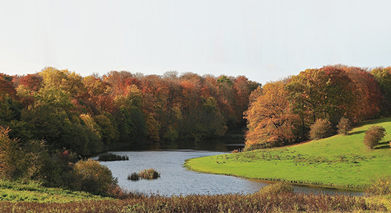 FET_Søllerød_Naturpark.4