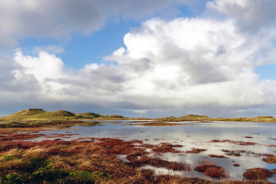 FET_Ved-Vangså.-Foto-Sosanne-Worm